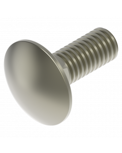 Slotbout M6 x 16 mm RVS