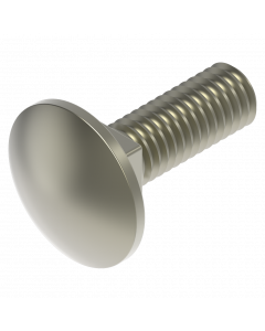 Slotbout M8 x 25 mm RVS