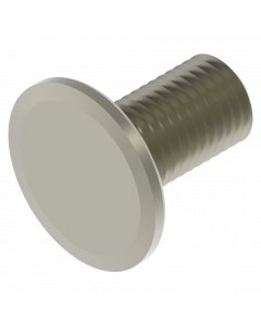 Platkop slotboutM8 x 15 mm RVS