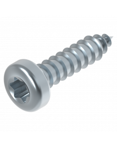 Parker 3.9 x 16 mm Torx EV