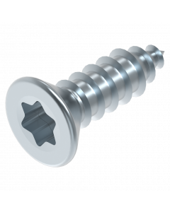 Parker 3.9 x 13 mm Torx EV