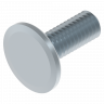 Platkop slotbout M6 x 16 mm