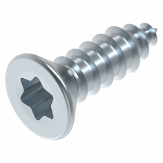 Parker 3.9 x 13 mm Torx EV